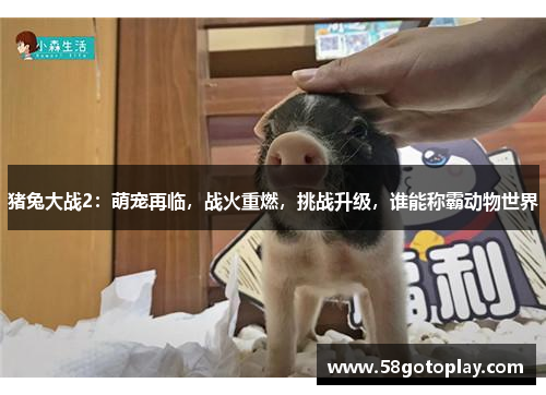 猪兔大战2：萌宠再临，战火重燃，挑战升级，谁能称霸动物世界