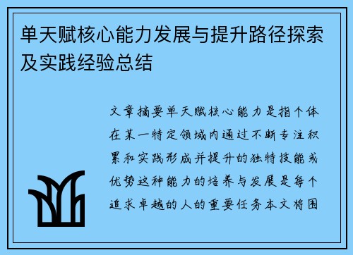 单天赋核心能力发展与提升路径探索及实践经验总结