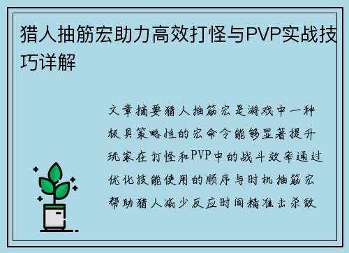 猎人抽筋宏助力高效打怪与PVP实战技巧详解